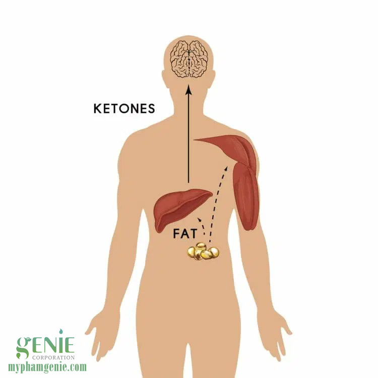 ketosis là gì | chế độ ăn kiêng keto