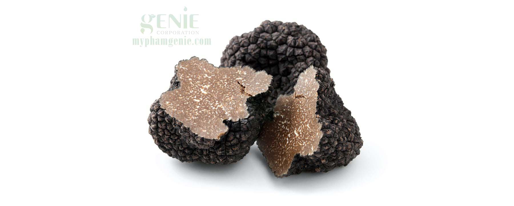 nấm truffle trắng | nấm truffle đen