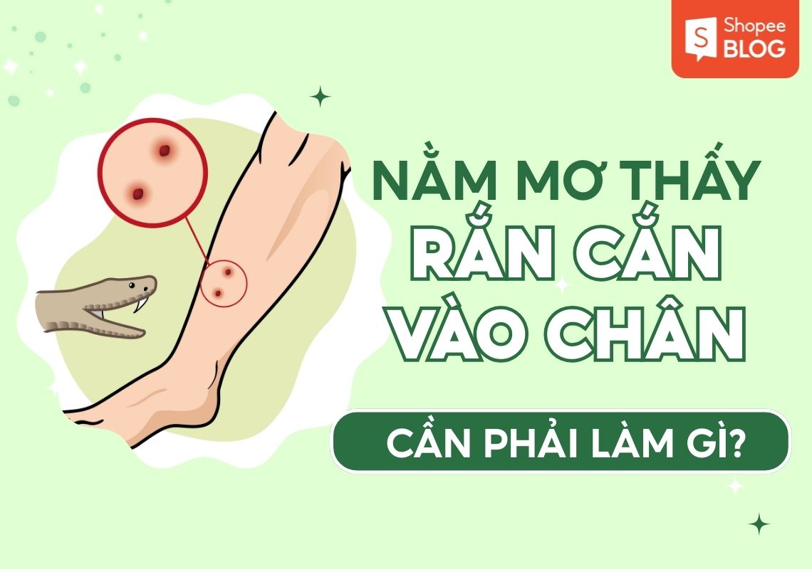 Nằm mơ thấy rắn cắn vào chân là điềm báo gì?